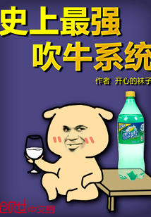 ʷ����ǿ��ţϵͳ