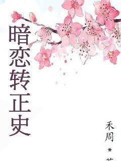 ����ת��ʷ